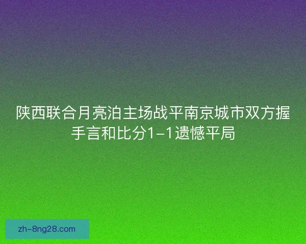 陕西联合月亮泊主场战平南京城市双方握手言和比分1-1遗憾平局