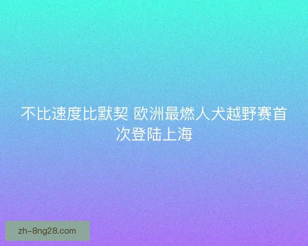 不比速度比默契 欧洲最燃人犬越野赛首次登陆上海