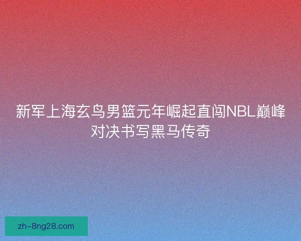 新军上海玄鸟男篮元年崛起直闯NBL巅峰对决书写黑马传奇 新军上海玄鸟男篮元年崛起直闯NBL巅峰对决书写黑马传奇